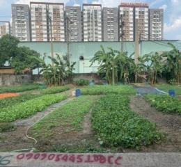 Giảm giá mùa Covid...bán đất biệt thự đường Thủy Lợi, P. Phước Long A, Q9 ( dt 11mx19m, sổ đỏ cá nhân ) 0949003009