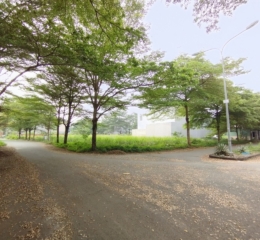 Cần bán 1 số nền đất dự án Thời báo kinh tế, đường Bưng Ông Thoàn. Có sổ đỏ riêng, điện nước hoàn thiện