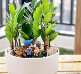 MẶT TIỀN KHU KINH DOANH TỐT, TÂN BÌNH - QH 16M - CHỈ 4.6 TỶ.