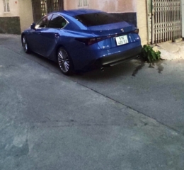 HẺM XE HƠI THÔNG TRẦN VĂN QUANG, TÂN BÌNH - 31M2 - 4 TẦNG - 5 TỶ TL.