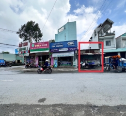 Bán đất mặt tiền đường Lò Lu ( ngay ngã 3 Lò Lu - Ích Thạnh), Phường Trường Thạnh Quận 9 cũ , Tp.Thủ Đức;