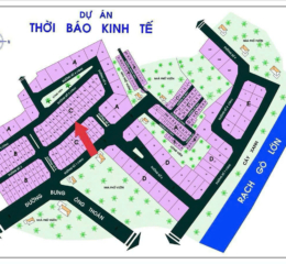 ☘️ Bán Lô Đất ( 8mx20m, sổ hồng riêng)  KDC Thời Báo Kinh Tế, P. Phú Hữu, Q9