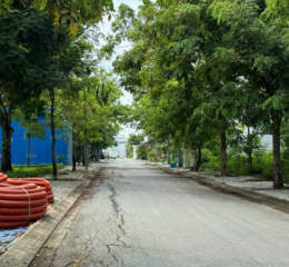 Bán đất nền Xuất Nhập Khẩu Tổng Hợp 2 giá mềm nhất năm 2026