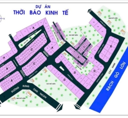 Bán đất lô D khu Thời Báo Kinh Tế Phú Hữu Q9, dt 460,7m2, sổ đỏ (0989373766)