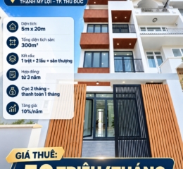 Cho thuê nhà nguyên căn 5x20m MT Trương Văn Bang Thạnh Mỹ Lợi, 1 trệt 2 lầu, nhà đẹp vào ở ngay (0989373766)