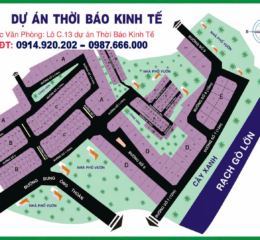 Bán đất nền Thởi Báo Kinh Tế , sổ riêng , đường Bưng Ông Thoàn , p Phú Hữu ,tp Thủ Đức